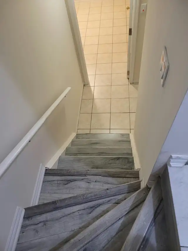 Basment for rent