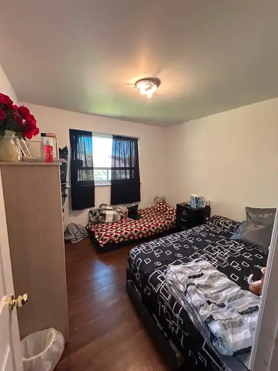 Furnished Room available immediately in Brampton near Algoma