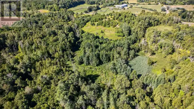 8155 19TH SIDE ROAD King (Schomberg), Ontario in Land for Sale in Barrie - Image 6