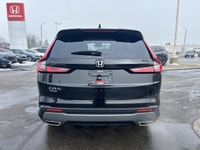 Come visit our Sterling Honda team, you can find us at 1495 Upper James Street, Hamilton, ON L9B 1K2... (image 5)