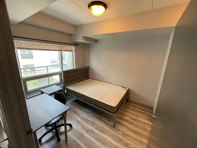 SHORT TERM RENTAL - Luxury Spacious & Furnished Student/Young Pr in Long Term Rentals in Kitchener / Waterloo - Image 4