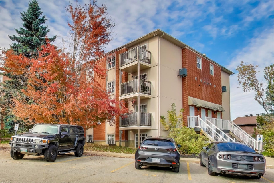 Cozy 1-Bedroom at Essa Gardens! 5
