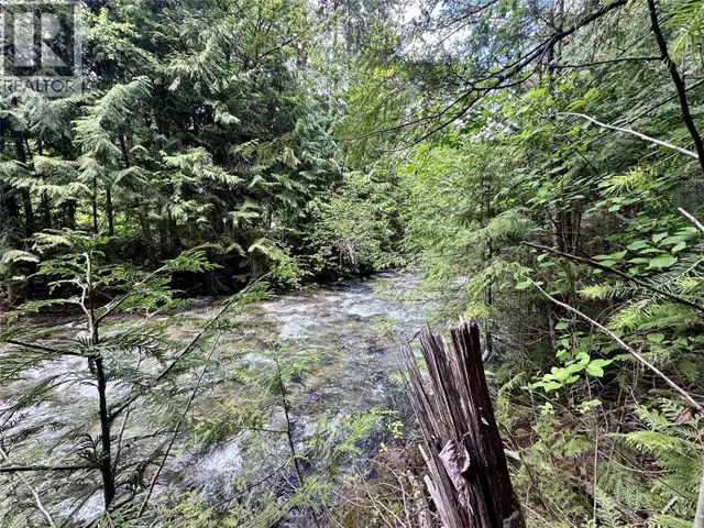 611 Slocan Street Slocan, British Columbia in Land for Sale in Nelson - Image 18