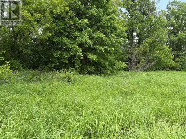 161 OLD PAKENHAM ROAD Ottawa, Ontario in Land for Sale in Ottawa - Image 5