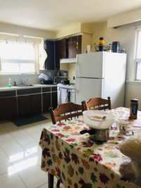 Three bedroom house for rent in Etobicoke from May 1st