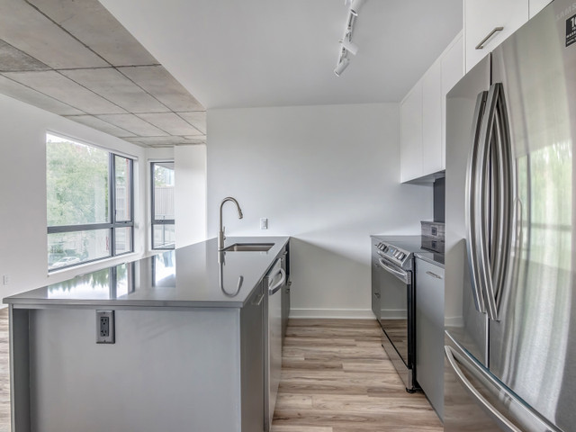 Condo appartement 2cc-2sdb à louer GRIFFINTOWN dans Locations longue durée  à Ville de Montréal