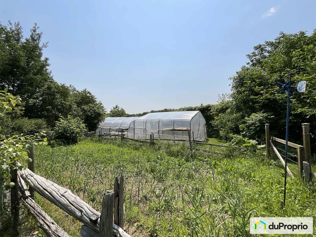 $799,000 - 2 Storey for sale in Ile d'Orléans (St-Francois) — photo 2