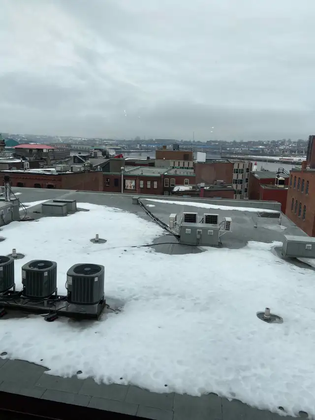 99 Germain Suite 302 in Long Term Rentals in Saint John - Image 4