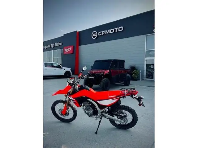 2025 Honda CRF 300L in Sport Bikes in Winnipeg - Image 5