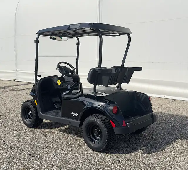 2026 E-Z-GO RXV 2 Valor S EX1-Black golf cart in ATVs in Vernon - Image 4