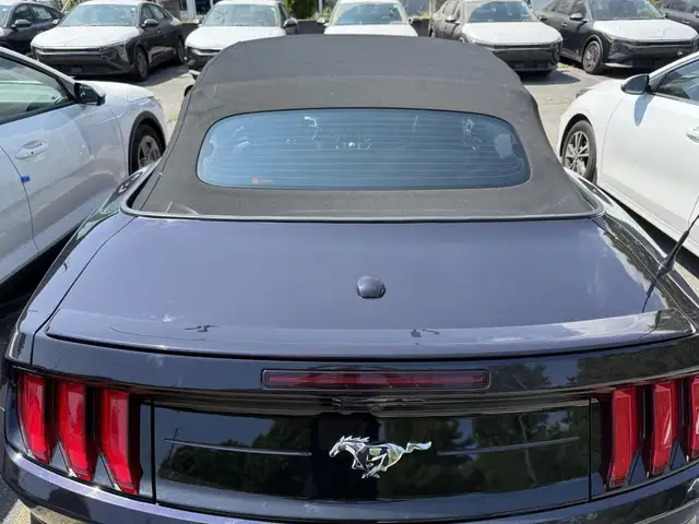 2023 Ford Mustang EcoBoost Premium Fastback for sale in Cars & Trucks in Mississauga / Peel Region - Image 10