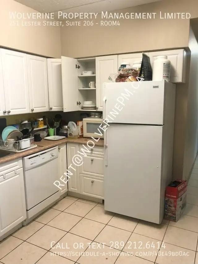 Male Student Housing in Waterloo - Students Only in Long Term Rentals in Kitchener / Waterloo - Image 3
