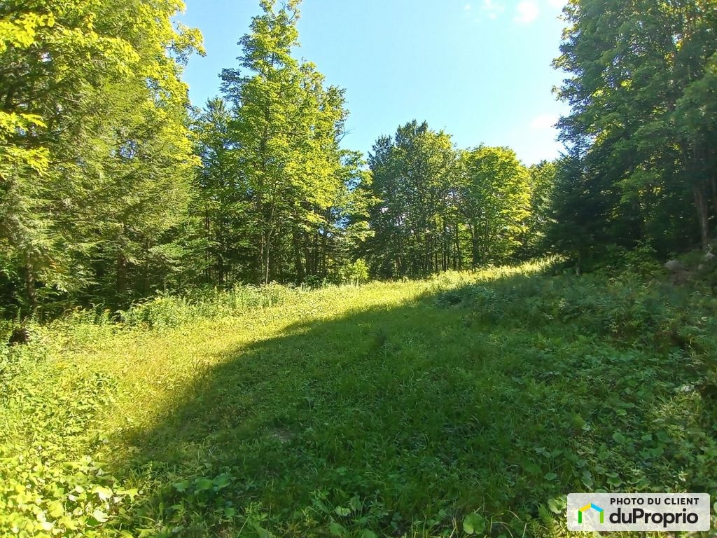 $745,000 - Residential Lot for sale in Brownsburg-Chatham — photo 2