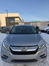 2019 Honda Odyssey EX-L : One Owner | Very Well Serviced | 220470 km's | Extra Set of Tires | 8-Pass... (image 1)