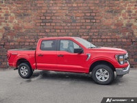 Come see this 2023 Ford F-150 XL before it's too late! *You Can't Beat the Price with These Options... (image 5)