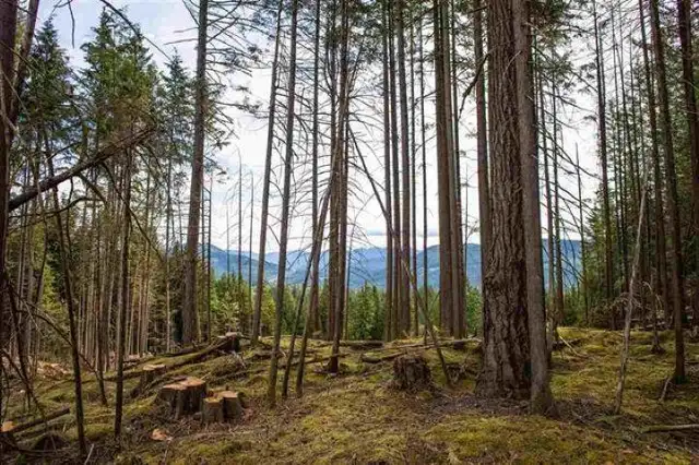 11533 WILSON STREET Mission, British Columbia in Land for Sale in Mission - Image 5