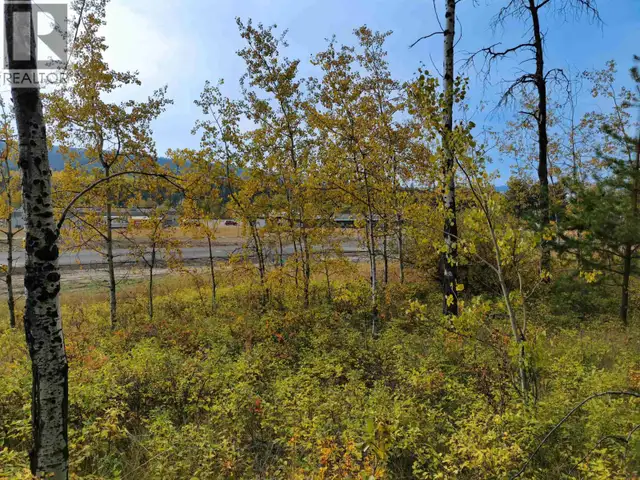 280 BLACKSTOCK ROAD 100 Mile House, British Columbia in Land for Sale in 100 Mile House - Image 8