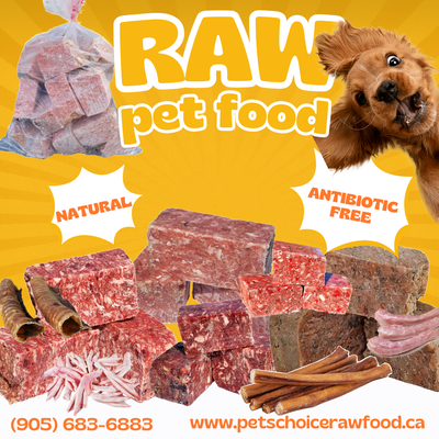 Affordable Quality Raw Dog and Cat Food-Samples Available, View more