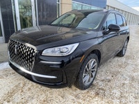 This Executive Driven Lincoln has been carefully driven by one of our employees or as a courtesy ser... (image 2)