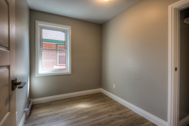 Comfortable one bedroom apartment | Available June 1st in Long Term Rentals in Kitchener / Waterloo - Image 3