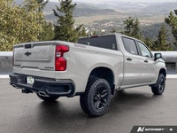 4WD Crew Cab 147 Custom Trail Boss ... Engine: Gas V8 5.3L/325 Safety Equipment Daytime Running Lamp... (image 4)