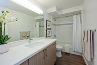 Live well at Main Square Apartments; perfectly located at Danforth and Main, surrounded by convenien... (image 7)