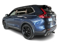 4X4, Cuir, Nav, DVD, Carplay, Wi-Fi, Bluetooth, Caméra, Phares à DEL, Jantes, Bouton de démarrage, A... (image 9)