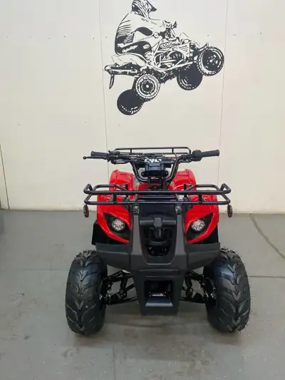 GIO Blazer 125D Price Transparency MSRP: $1395 Assembly & PDI: $200 Final price: $1,595 plus GST tax...