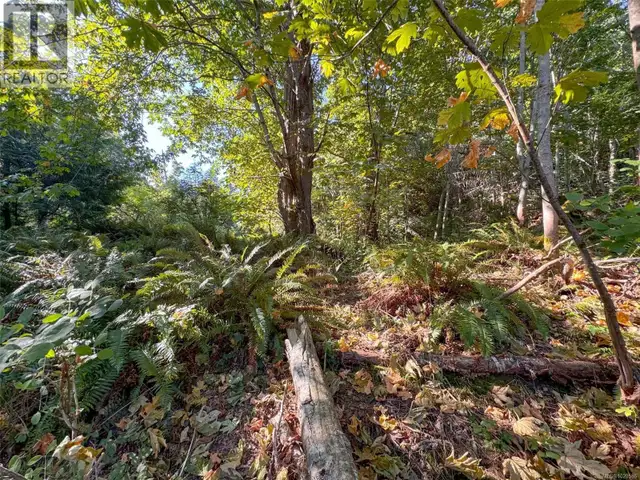 Lot 7 The Strand Gabriola Island, British Columbia in Land for Sale in Nanaimo - Image 19