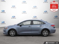New Price! 2024 Toyota Corolla Hybrid LE FWD Continuously Variable (ECVT) 1.8L 4-Cylinder DOHC 16V H... (image 1)