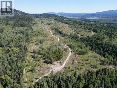 Spanning 160 acres 15 minutes from Fraser Lake, this remarkable property offers space, versatility,...