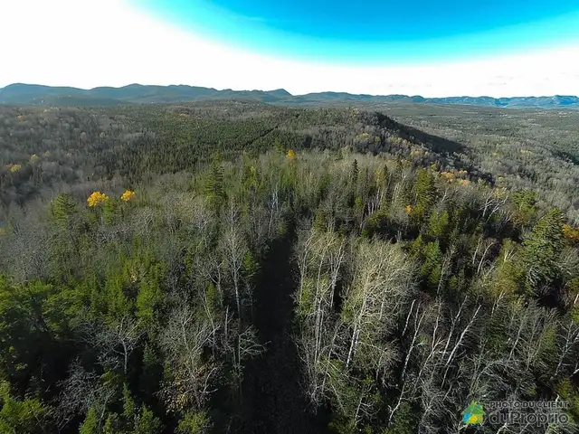$750,000 - Land to be developed for sale in Baie-St-Paul in Land for Sale in Québec City - Image 7