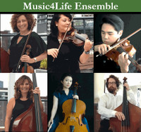 Live String music for your Wedding or Special Event