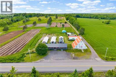 Welcome to Three Legged Horse Farm, a unique opportunity to own an established farm, market garden,...