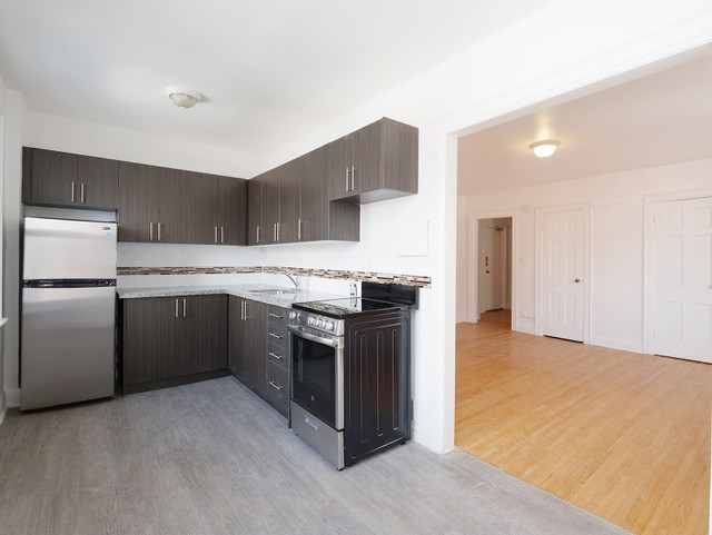 Bold Street Apartments - 1 Bedroom Apartment for Rent in Long Term Rentals in Hamilton - Image 2