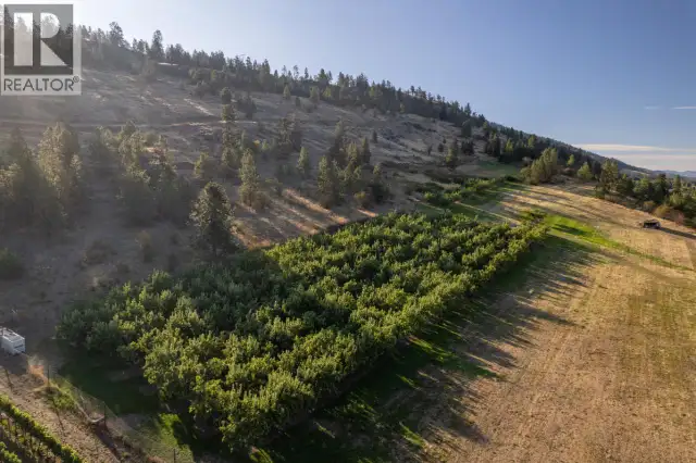 1116 Naramata Road Penticton, British Columbia in Land for Sale in Penticton - Image 17