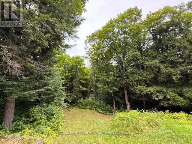 335 CENTRE ROAD McKellar, Ontario in Land for Sale in Barrie - Image 14