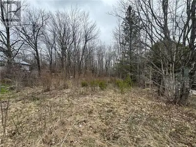 Flat level building lot in the town of Silver Water. Great location to build your dream home or a sh...
