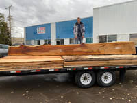 Large Selection of Dry Live Edge Slabs, Mantles, Logs and Stumps