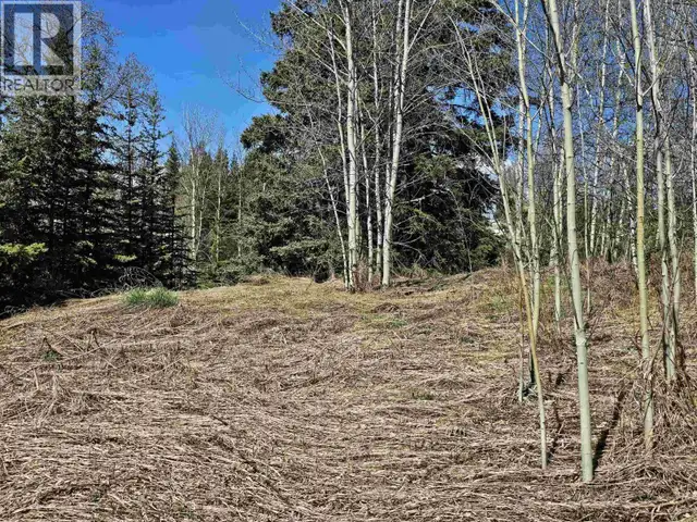 101 5TH AVENUE Burns Lake, British Columbia in Land for Sale in Burns Lake - Image 2