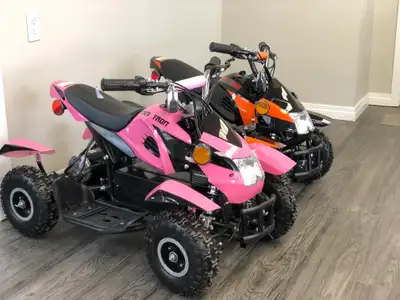 ATV Edmonton Motorsports Ltd. (North & South) ATVs, Quads, UTVs, Dirt Bikes, Dune Buggies, Go Kart,...