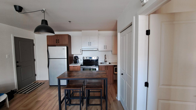 3½ DISPONIBLE 1ER AOÛT 2024 ! in Long Term Rentals in Saint-Hyacinthe