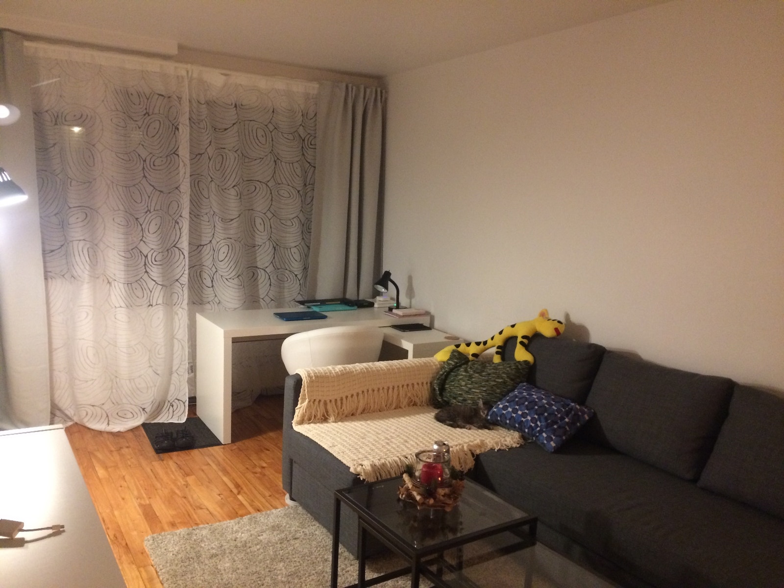 6050 30eme avenue apt 7 — photo 3