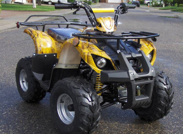 SPRING SAVINGS ON KIDS/ADULTS ATVS/DIRT BIKES/DUNE BUGGYS in ATV Parts, Trailers & Accessories in Brandon - Image 3