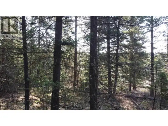 LOT B BRYCE ROAD Forest Grove, British Columbia in Land for Sale in 100 Mile House - Image 25