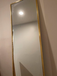 Mirror closet door / Porte coulissante miroir