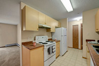 Beautiful 2 bedroom In-suite Laundry and Dishwasher - Avail Now