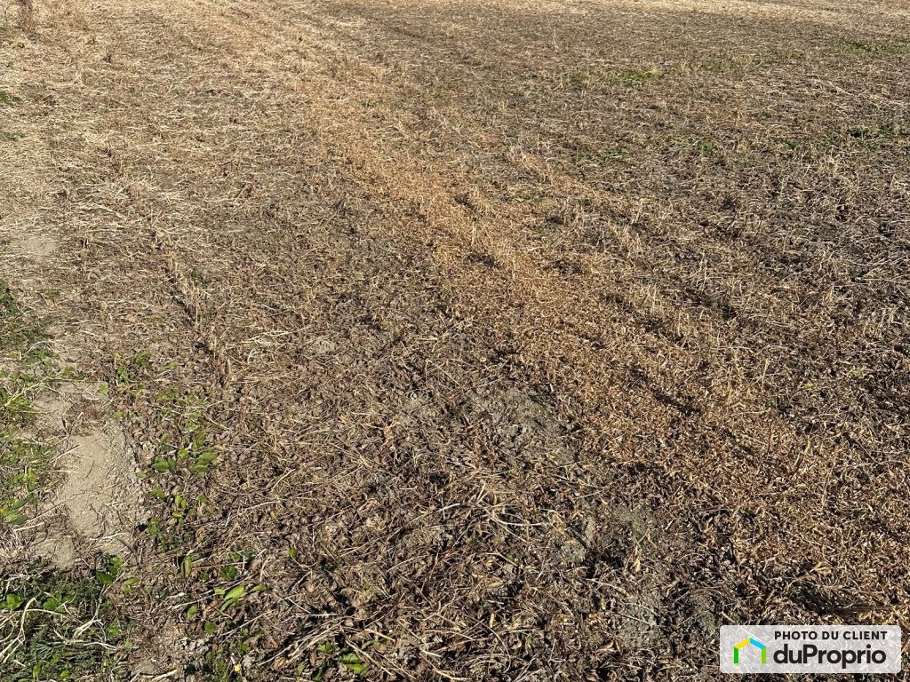$2,500,000 - Arable Land for sale in St-Eustache — photo 3
