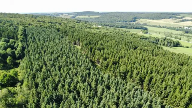 St-Sylvestre (Chaudière-Appalaches) : Terre à bois 97,24 acres63384445510147127