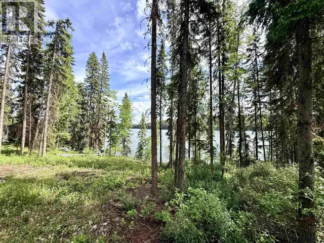 LOT 6 TIMOTHY LAKE ROAD Lac La Hache, British Columbia in Houses for Sale in 100 Mile House - Image 41